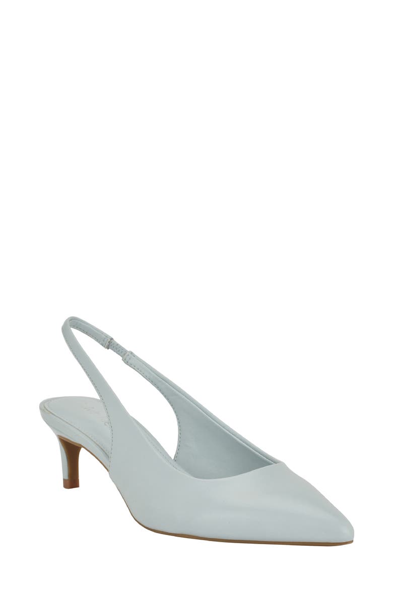 Dainty Kitten Heel Pointed Toe Slingback Pump video