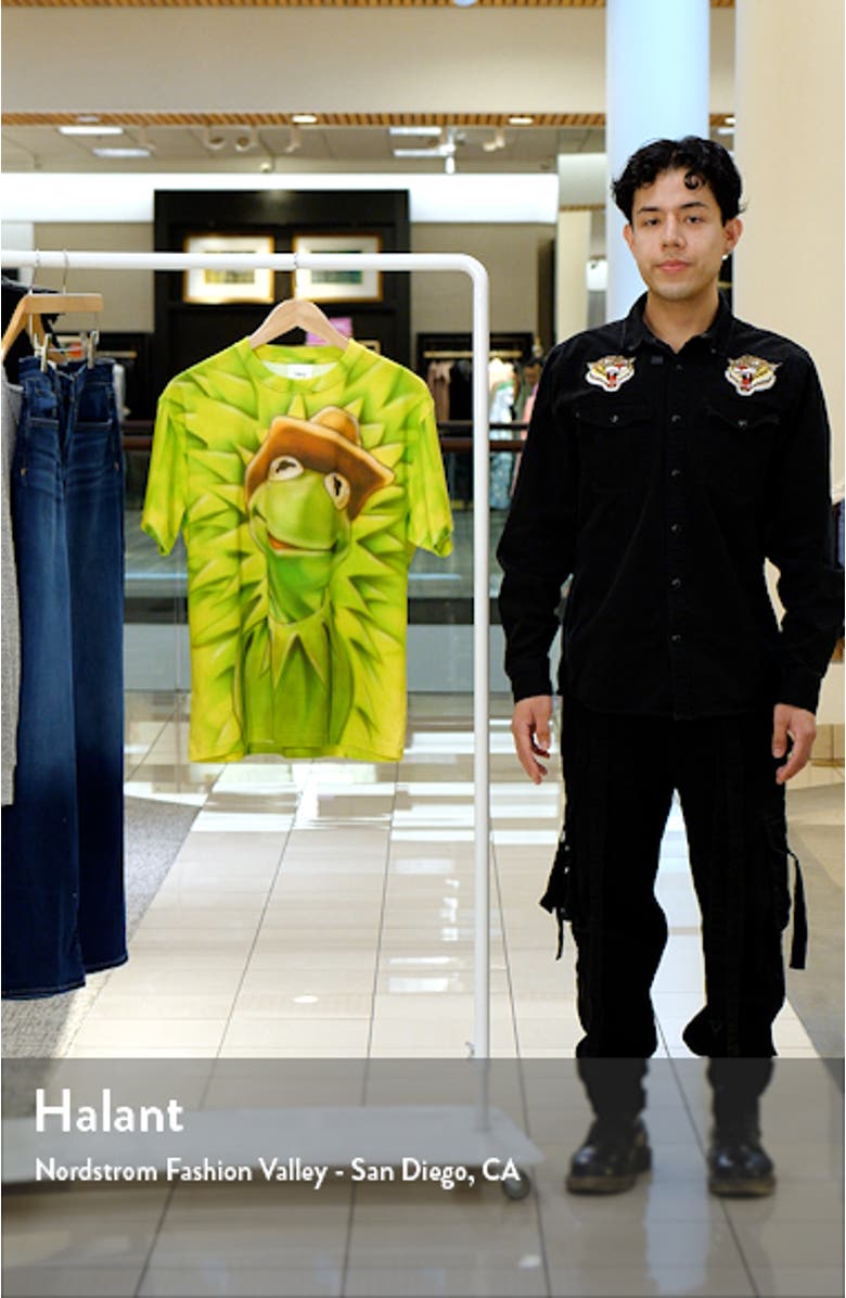 Airbrush Kermit Organic Cotton Graphic T-Shirt, sales video thumbnail