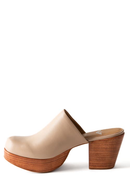 Fortress Ava Clog Mule In Sand