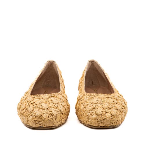 Andrea Gomez Dalia Flower Raffia Ballerina In Gold