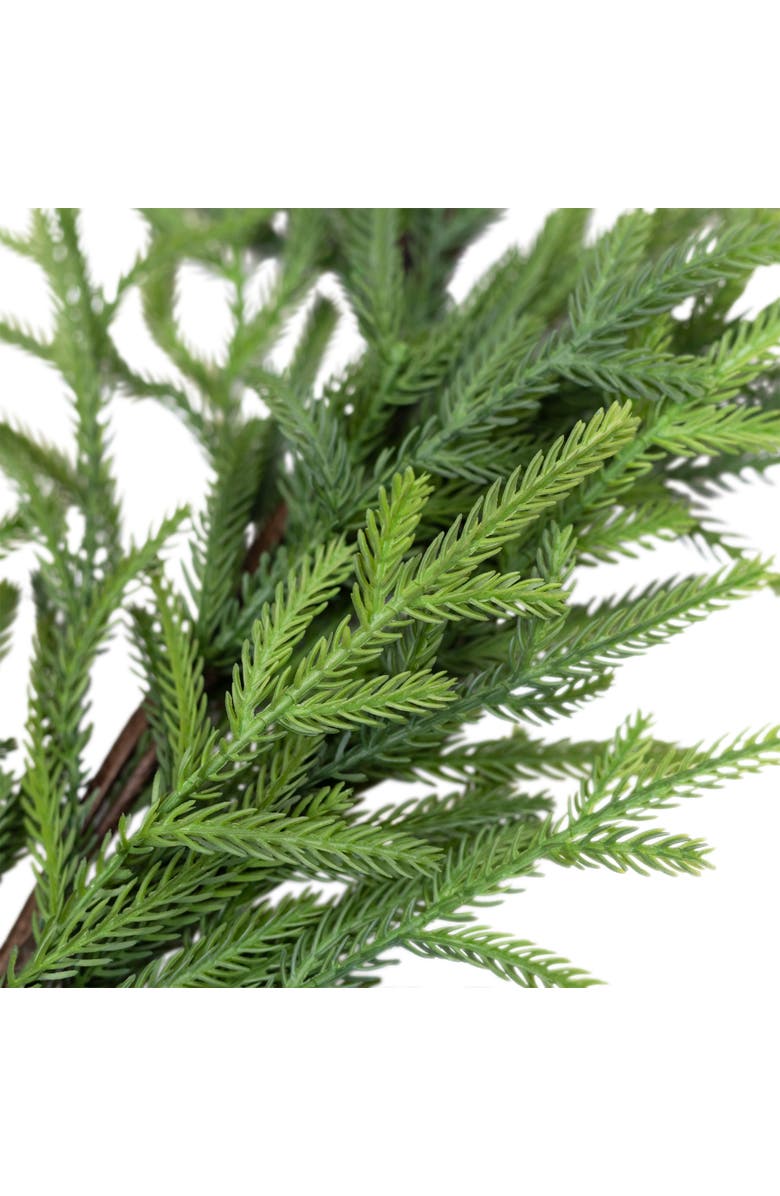 Northlight Norfolk Pine Artificial Christmas Garland - 6' x 10" - Unlit, Alternate, color, Green