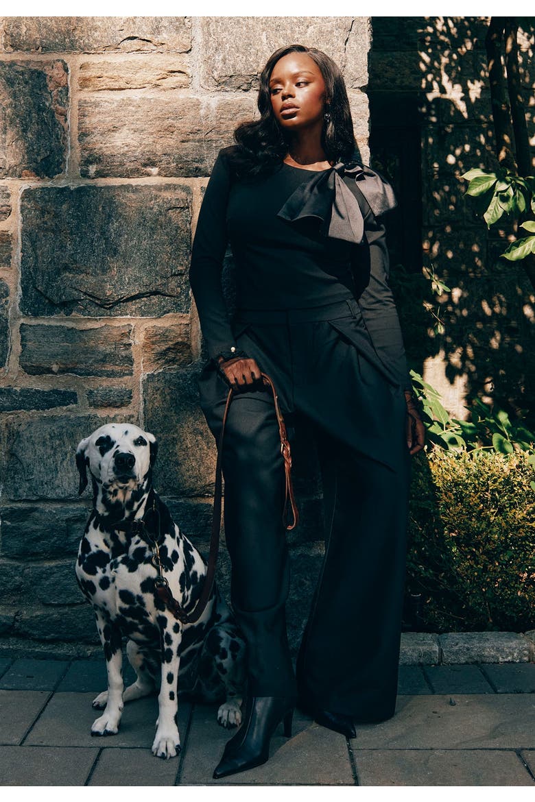 Wide Leg Pleated Trouser With Long Belt, Alternate, color, BLACK ONYX