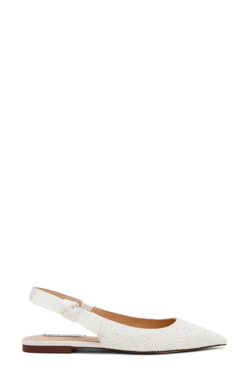 STEVE MADDEN STEVE MADDEN OLSEN SLINGBACK POINTED TOE FLAT