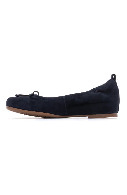 Abeo Cadence Bow Ballet Flat In Navy Suede - Regular