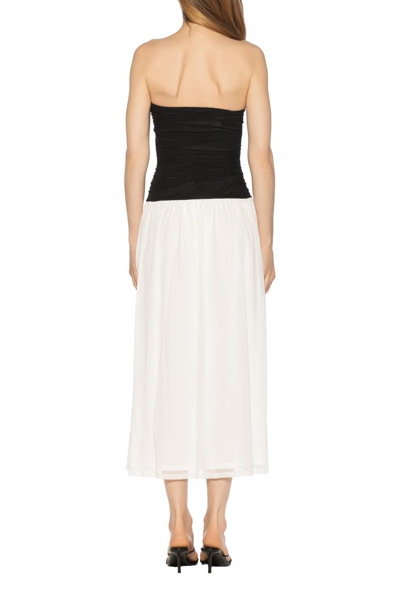 Seraphina Strapless Midi Dress, Alternate, color, BLACK/ WHITE