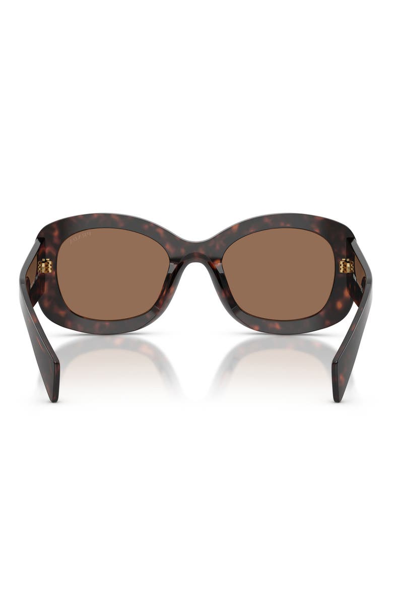54mm Oval Sunglasses, Alternate, color, DARK HAVANA/ DARK BROWN