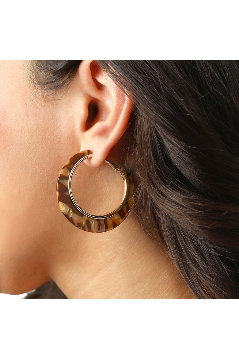 Hoop Earrings for Women Gold-Tone, Earth-Toned Hoops, Alternate, color, Gold-Tone