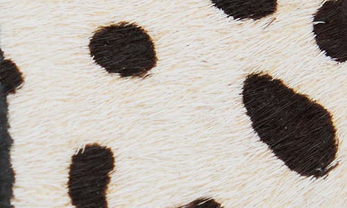 Saachi Spotted Genuine Calf Hair Apple Watch® Watchband In Black