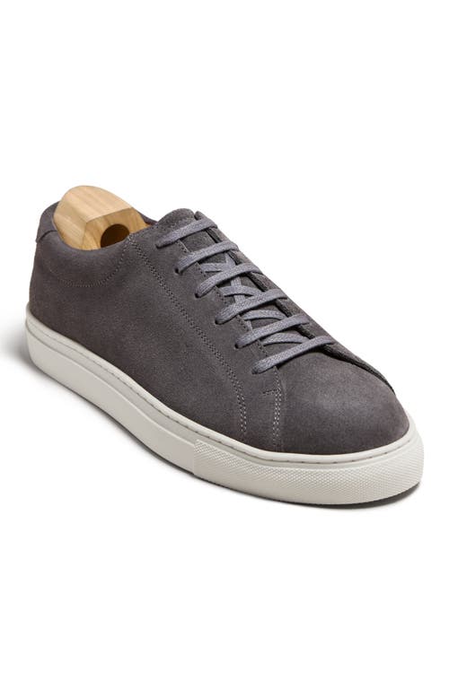 Myrqvist Oaxen Ii Sneakers In Gray