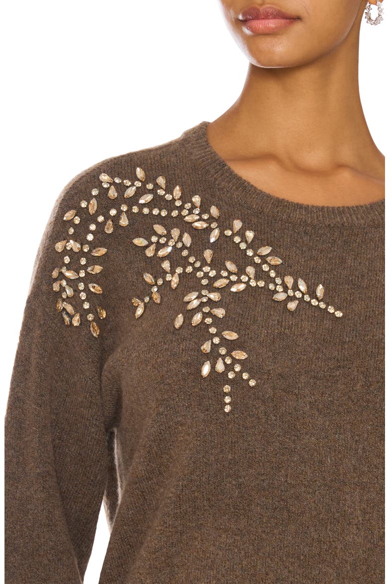 Embellished Crewneck Sweater, Alternate, color, MEDIUM BROWN