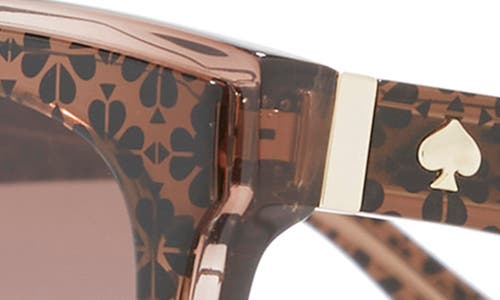 Kate Spade New York 56mm Daesha Cat Eye Sunglasses In Brown