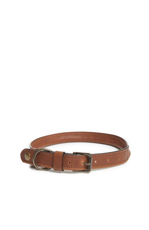 Gordon Leather Dog Collar - LG