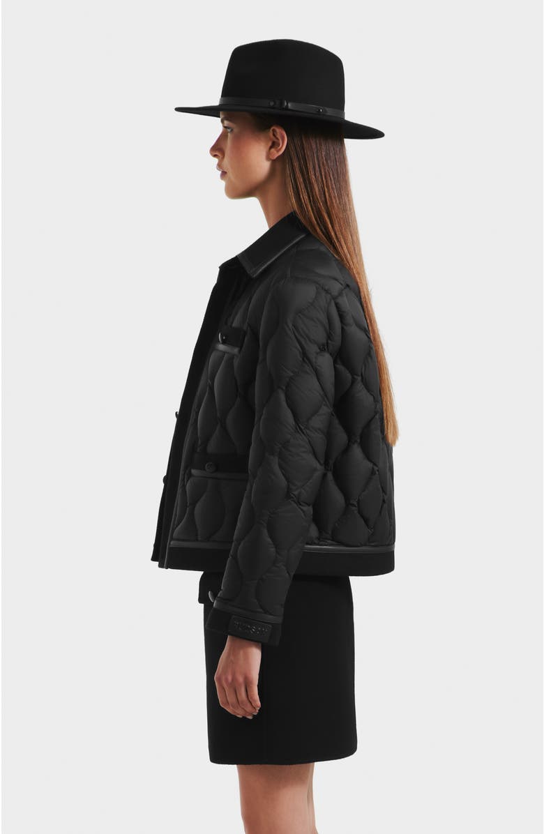 Rudsak Jolie Quilted Light Jacket, Alternate, color, Black