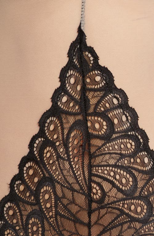 Oh La La Cheri Lace Panel Undewire Teddy