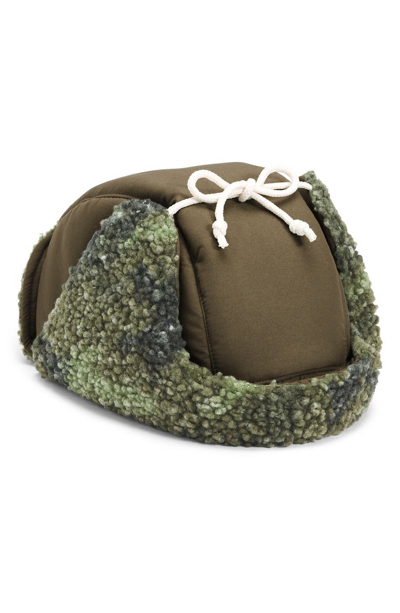 The North Face Recycled Ridge Fleece Trapper Hat, Alternate, color,