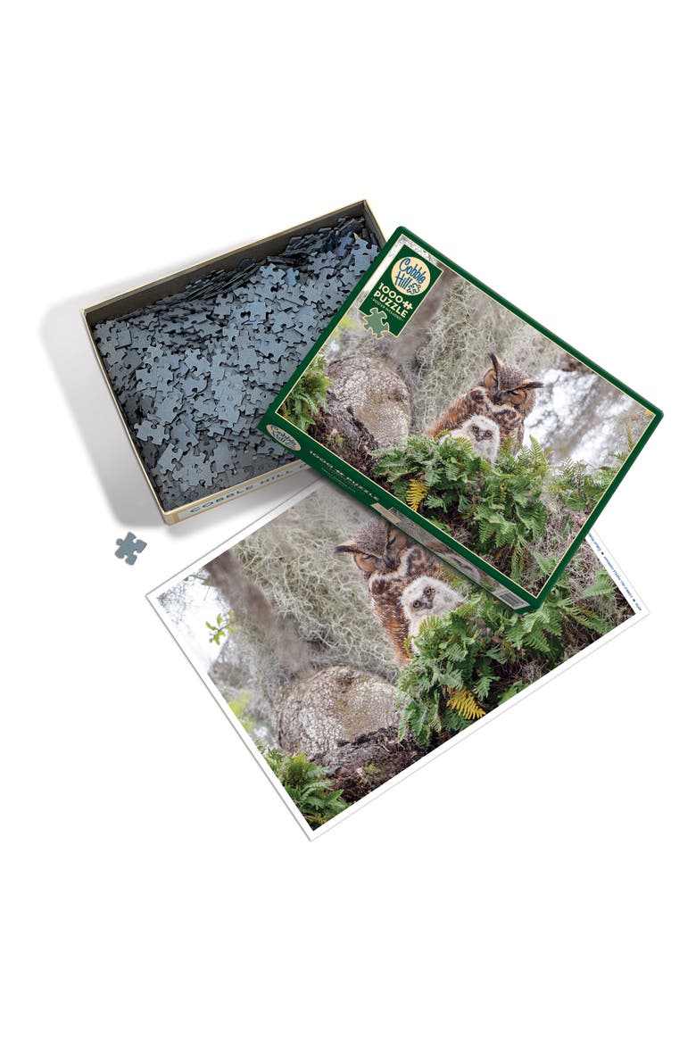 1000 Piece Puzzle Great Horned Owl Reference Poster Included, Alternate, color, Multicolored