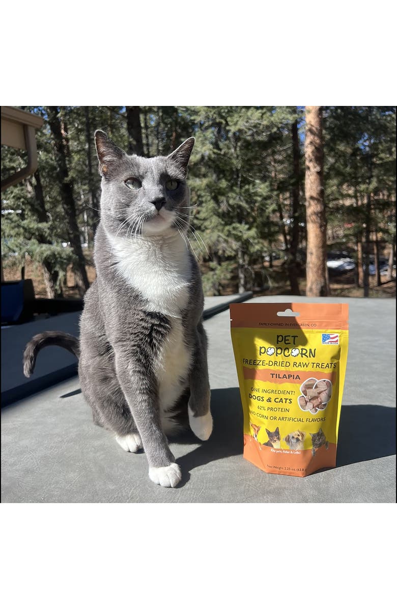 Pet Popcorn Freeze Dried Raw Treats, Tilapia, 2.5oz Bag, Dog & Cat Snacks, Alternate, color, 