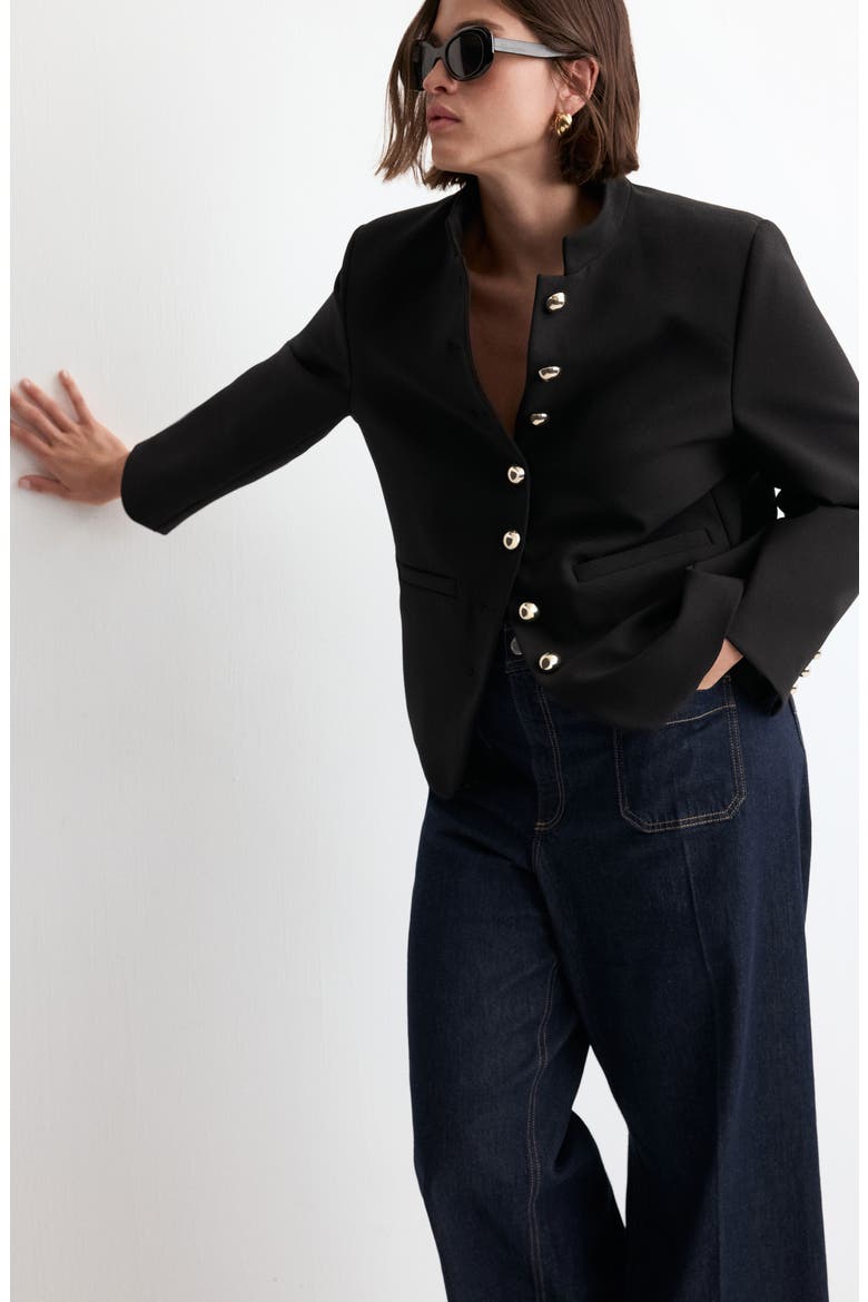 Mandarin Collar Jacket, Alternate, color, BLACK