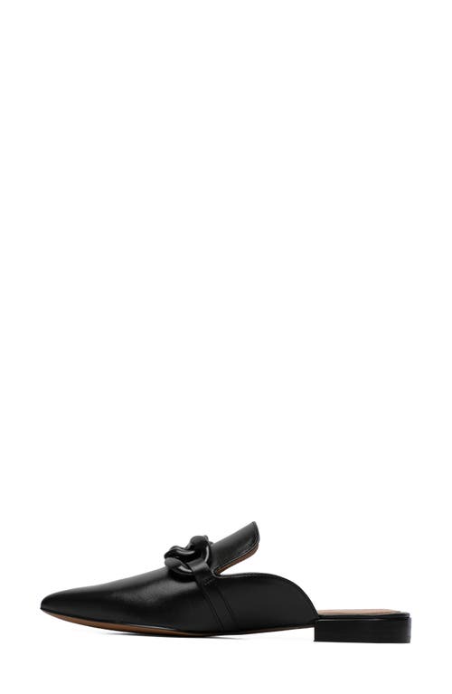 Linea Paolo Adora Pointed Toe Mule In Black