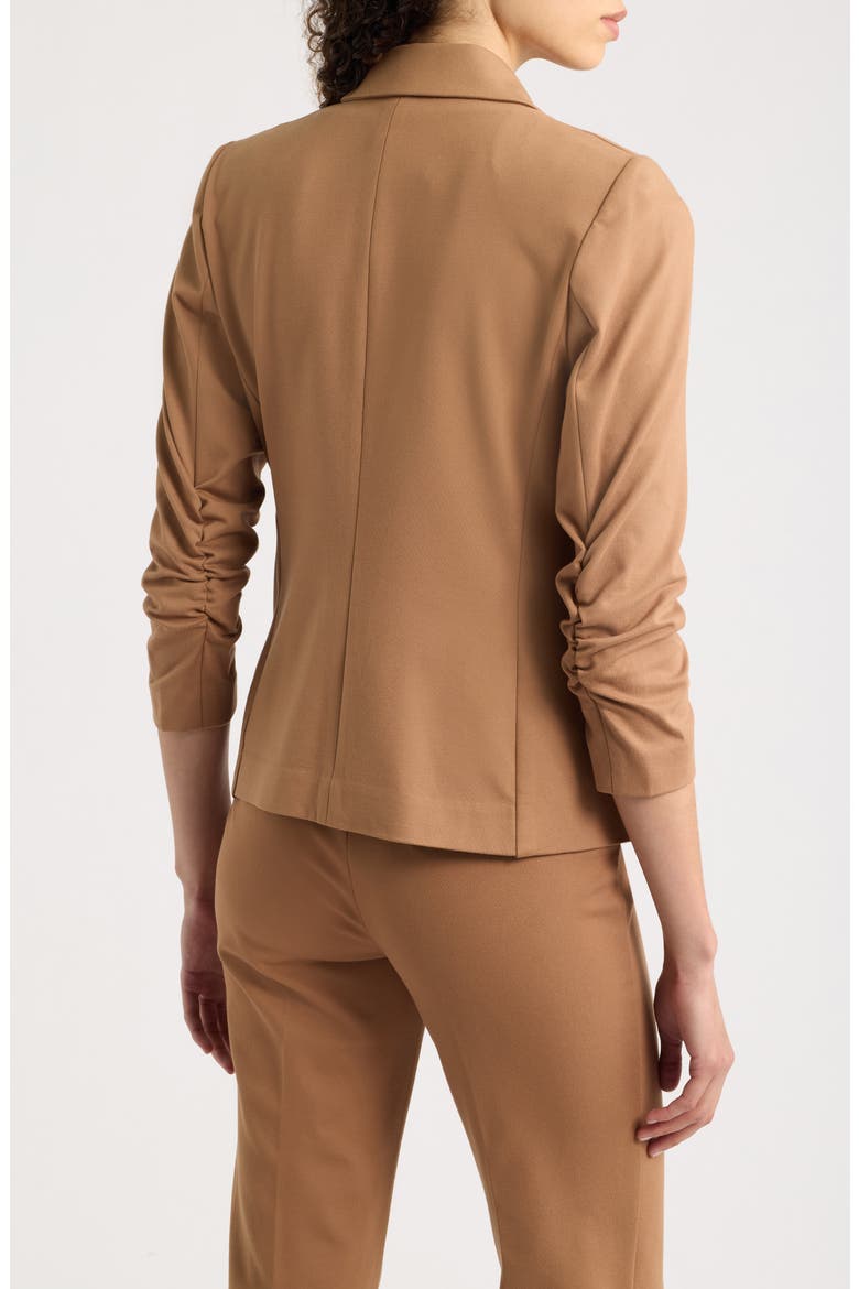 Scrunch Sleeve One-Button Jacket, Alternate, color, VICUNA