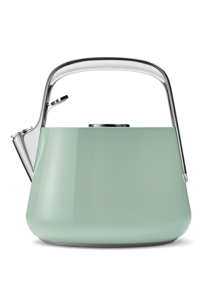 Whistling Tea Kettle, Alternate, color, MIST