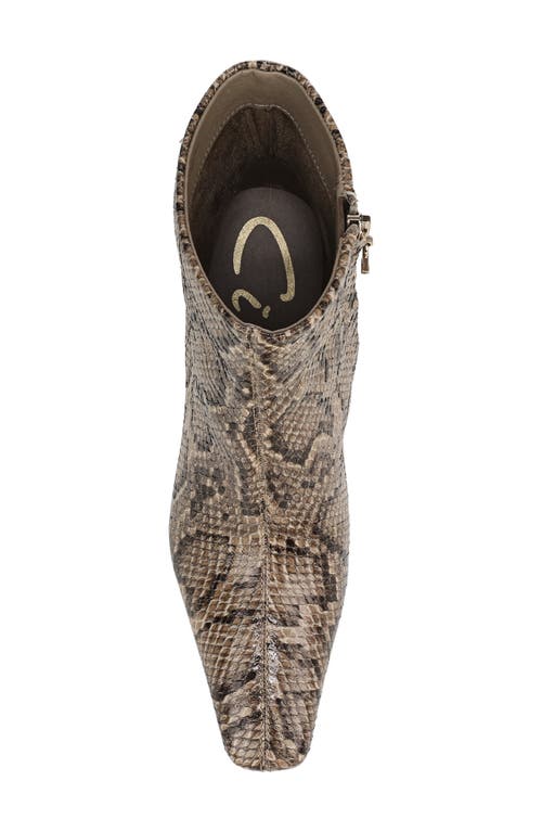Circus Ny By Sam Edelman Laura Snakeskin Embossed Snip Toe Bootie In Multi