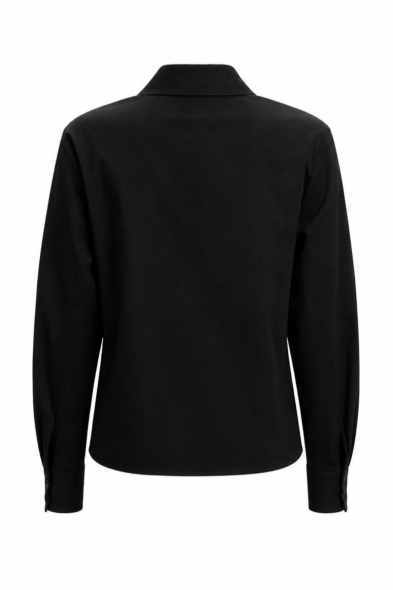 Theodora Long Sleeve Shirt, Alternate, color, BLACK