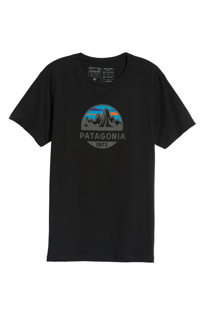 Patagonia Fitz Roy Scope Crewneck T-Shirt, Alternate, color, 