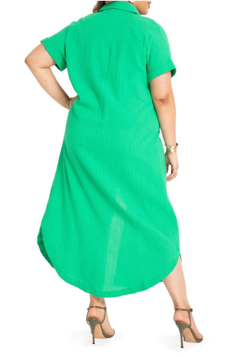 Cotton Maxi Shirtdress, Alternate, color, BRIGHT GREEN