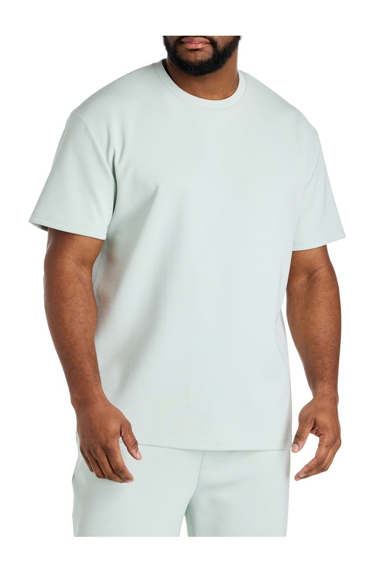 Big & Tall Textured T-Shirt, Main, color, MINT