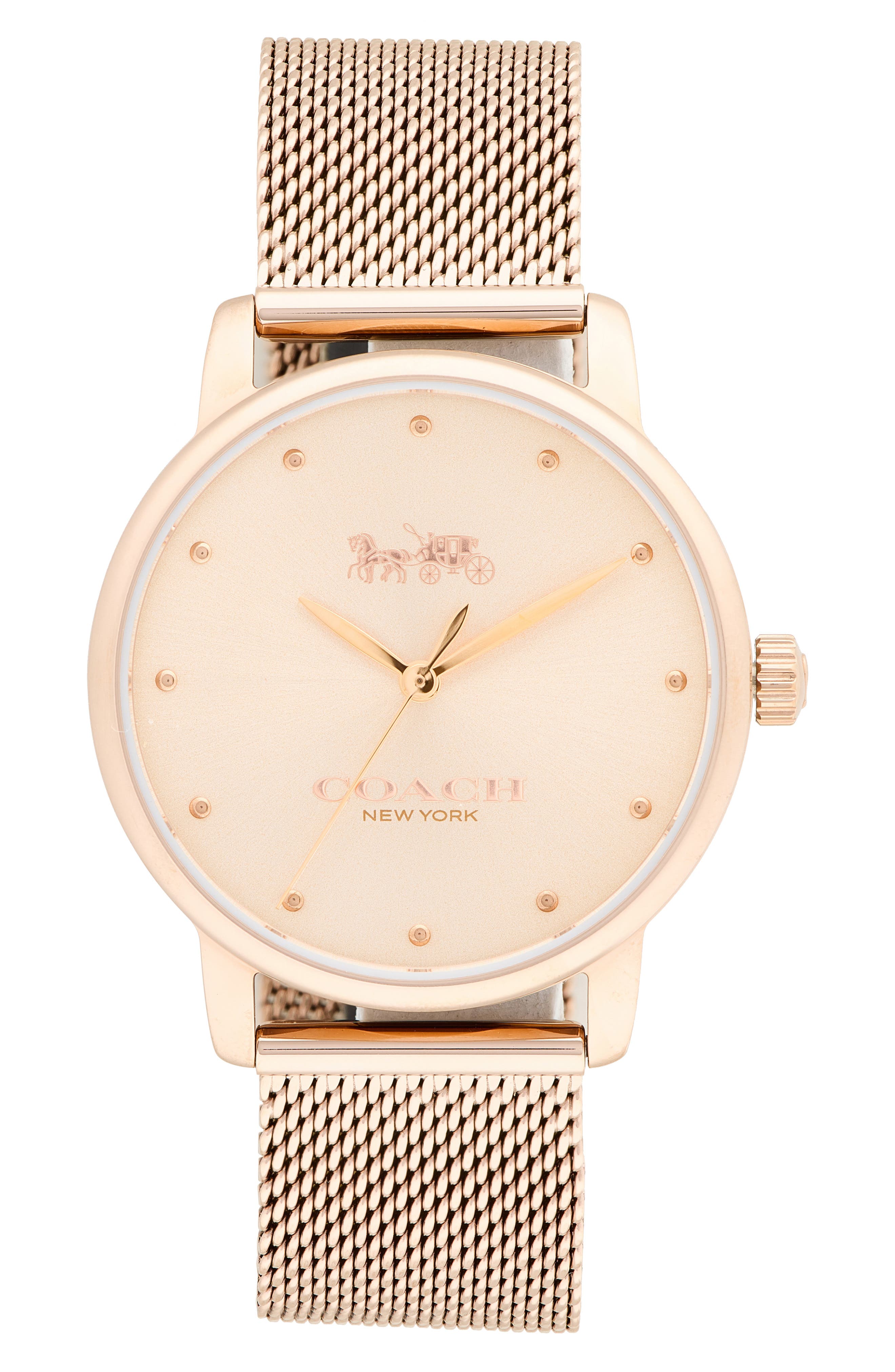 Grand Mesh Strap Watch