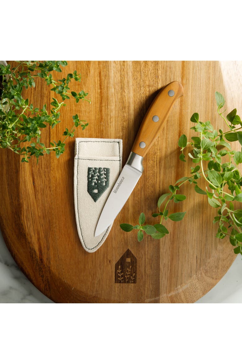 German Steel Paring Knife W/ Italian Olive Wood Forged Handle, Alternate, color, Natural Wood