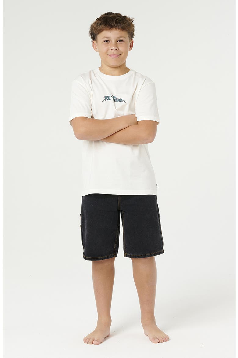 Kids' Hazed and Tubed Graphic Tee, Alternate, color, BONE