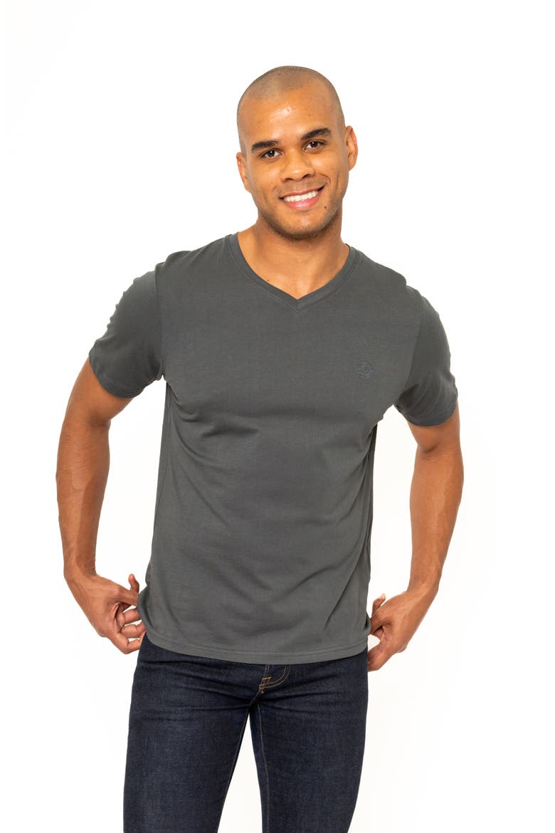 Montpellier V-Neck Cotton T-Shirt, Alternate, color, GREY