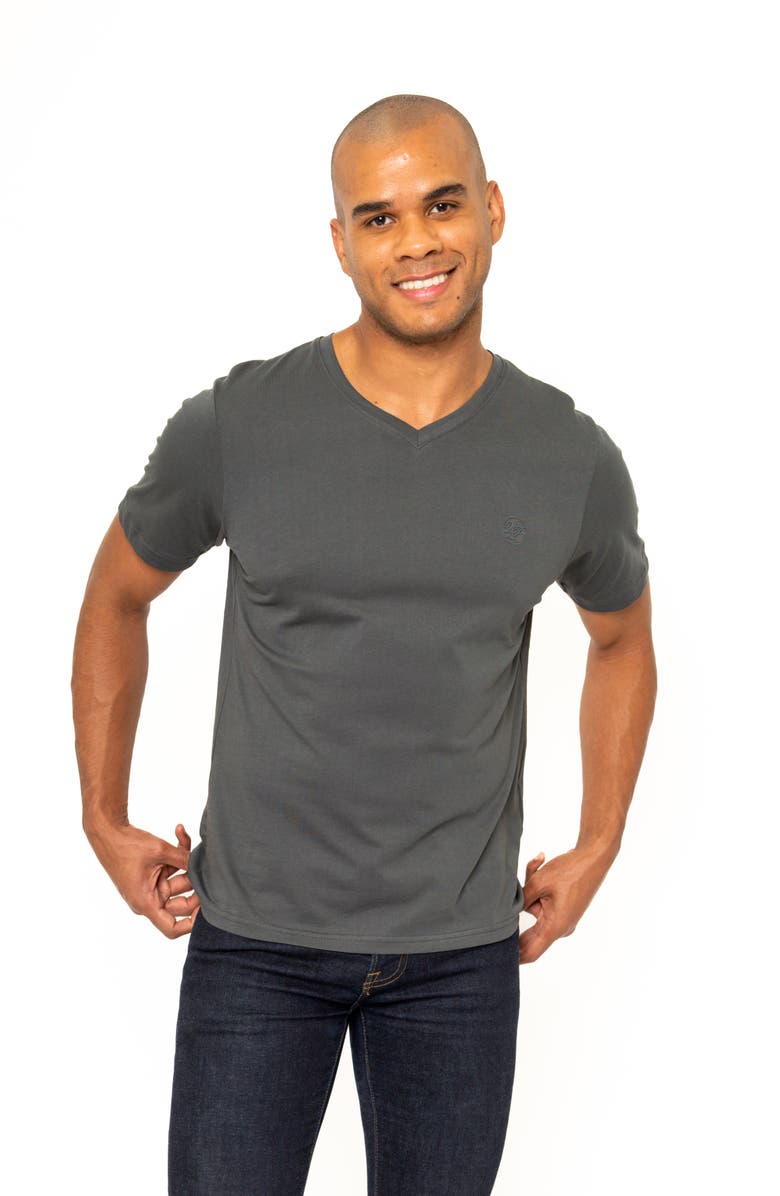 VELLAPAIS Montpellier V-Neck Cotton T-Shirt, Alternate, color, Grey