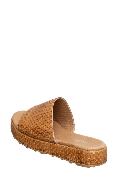 Antelope Brea Woven Leather Slide Sandal In Taupe