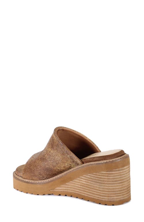 Diba True Cloud Fall Wedge Sandal In Brown