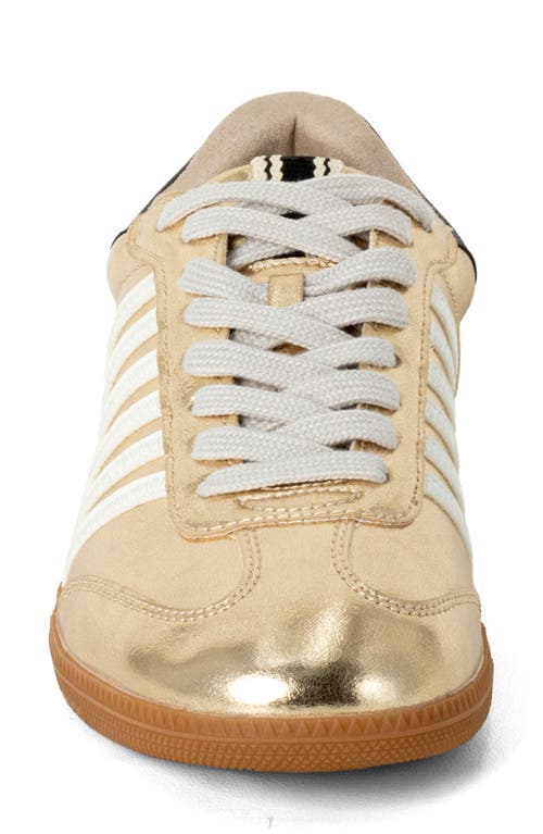 Shushop Stevie Sneaker In Multi