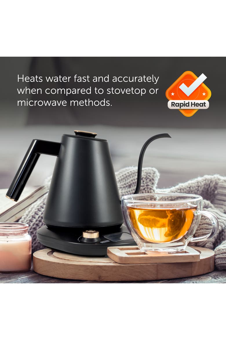 1 L Digital Gooseneck Kettle with Temperature Control, Alternate, color, Stainless Steel
