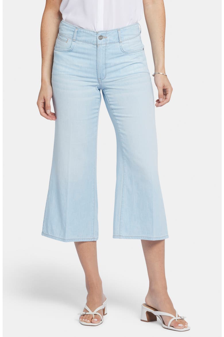 Brigitte High Waist Capri Wide Leg Jeans, Main, color, OCEANFRONT