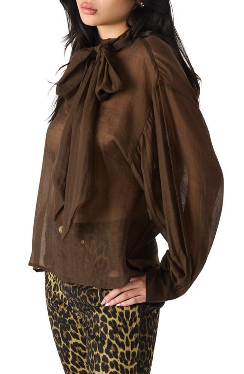 Steve Madden Sutton Tie Neck Top In Brown