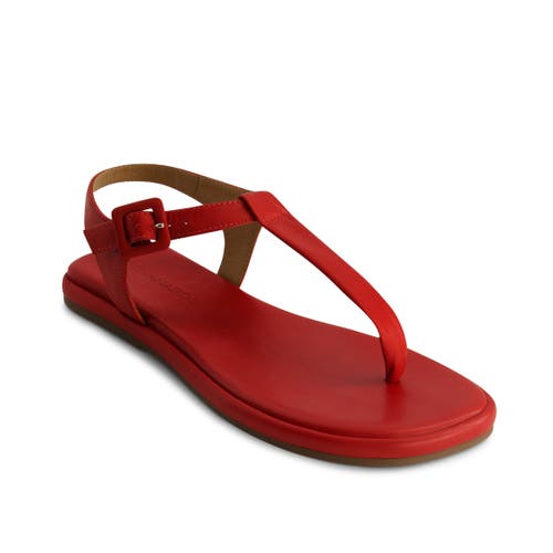 Shop Bernardo Footwear Tucson T-strap Sandal In Red