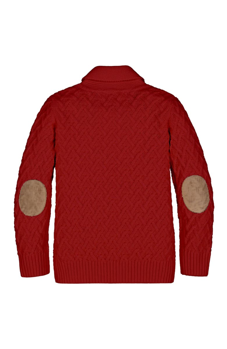 Hope & Henry Baby Boys' Organic Shawl Collar Cable Sweater, Infant, Alternate, color, 