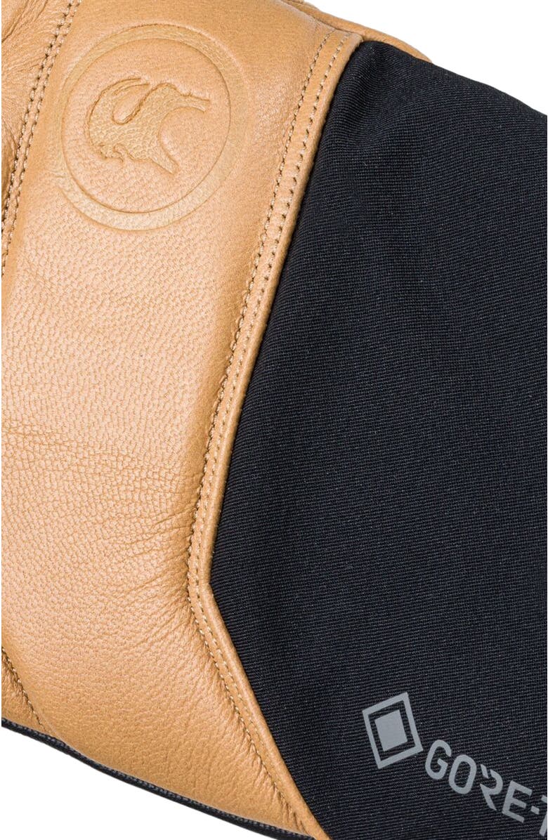 Backcountry GORE-TEX Snow Glove, Alternate, color, Pika/Black