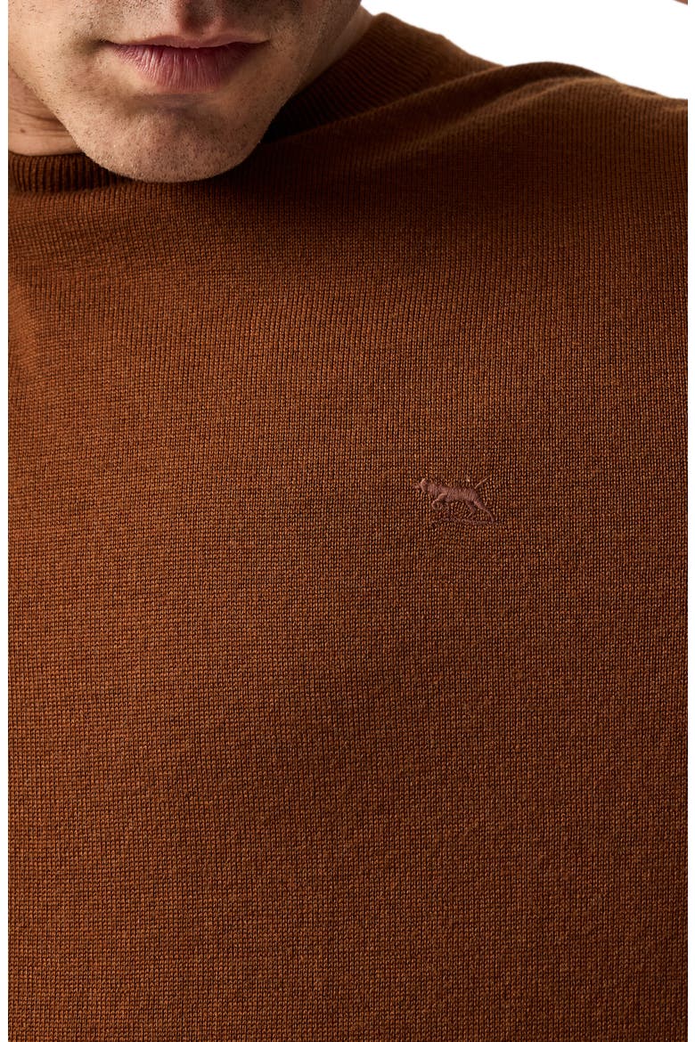 York Bay Merino Wool Sweater, Alternate, color, TOBACCO