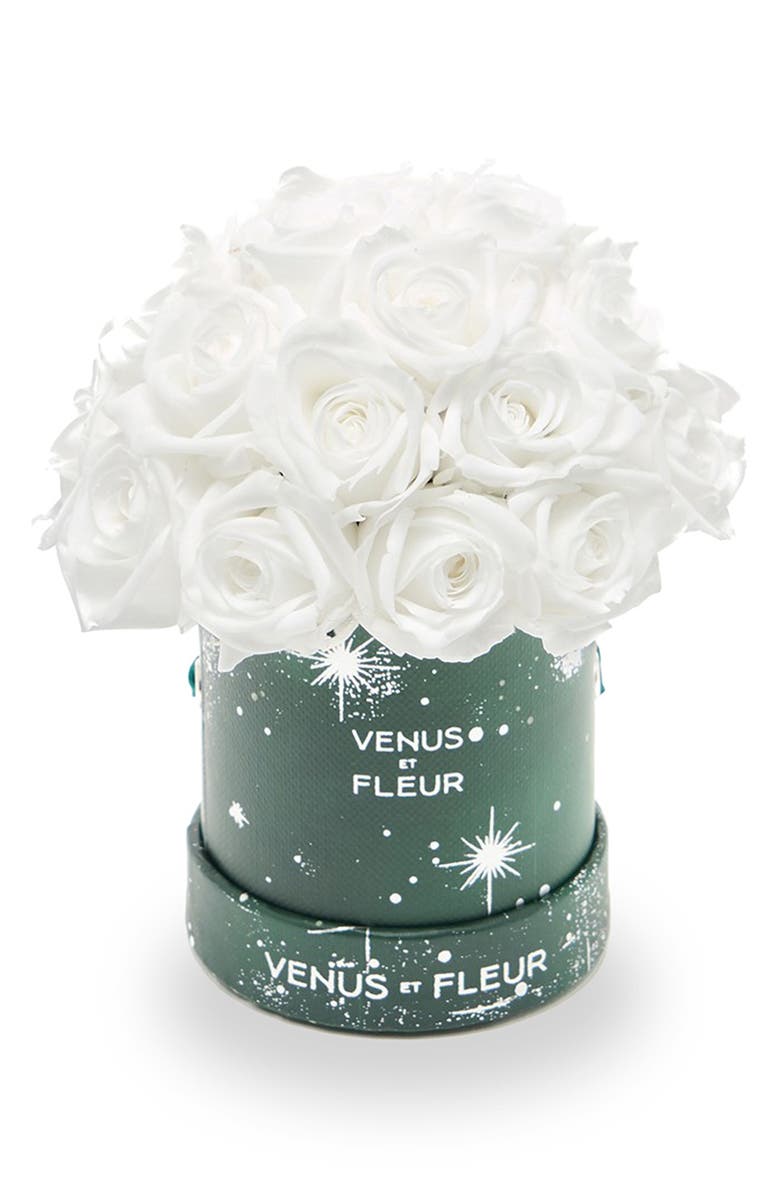Venus ET Fleur Mini Le Plein Zodiac White Eternity Roses<sup>®</sup>, Main, color, White