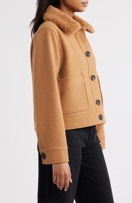 Sam Edelman Crop Jacket With Faux Shearling Collar In Brown