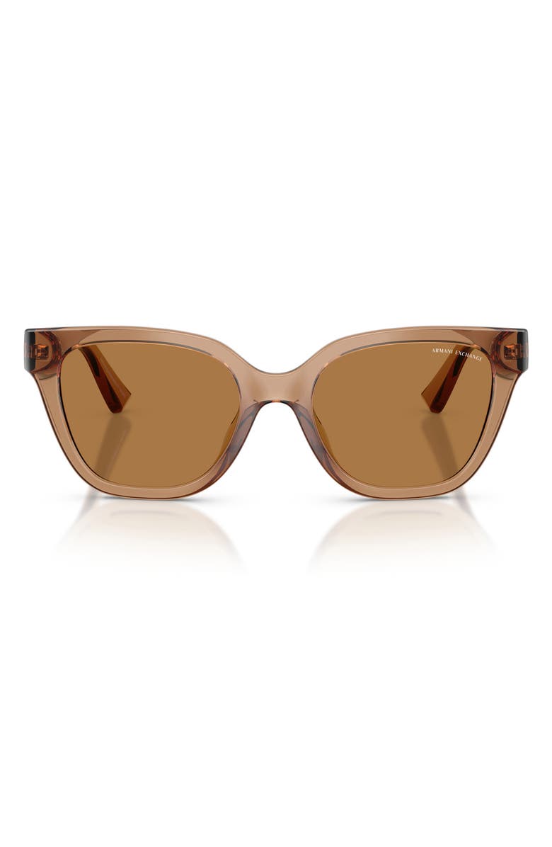 AX Armani Exchange 53mm Cat Eye Sunglasses, Main, color, Shiny Brown / Bronze