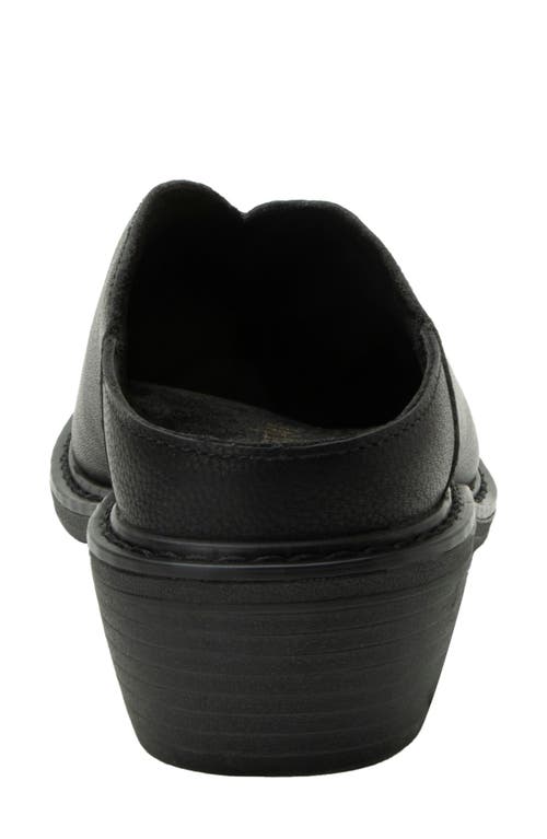Alegria By Pg Lite Michy Mule