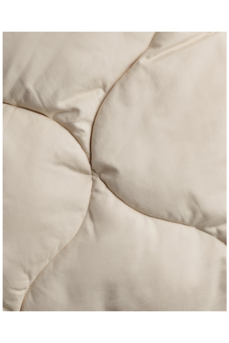 Cotton Drift Set of 2 King Shams, Alternate, color, BONE